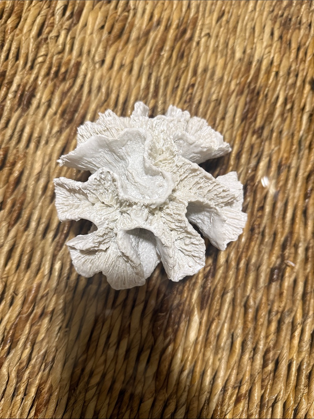 Handcrafted White Coral Accent Brooch - Unbranded